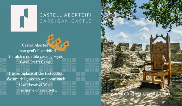 Cardigan Castle Image