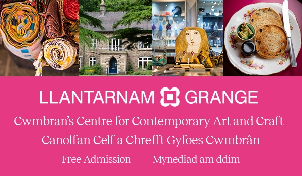 Llantarnam Grange Arts Centre Image
