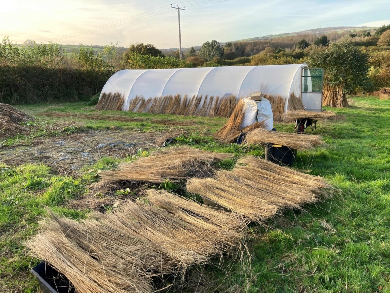 Flax Project CIC Image 1