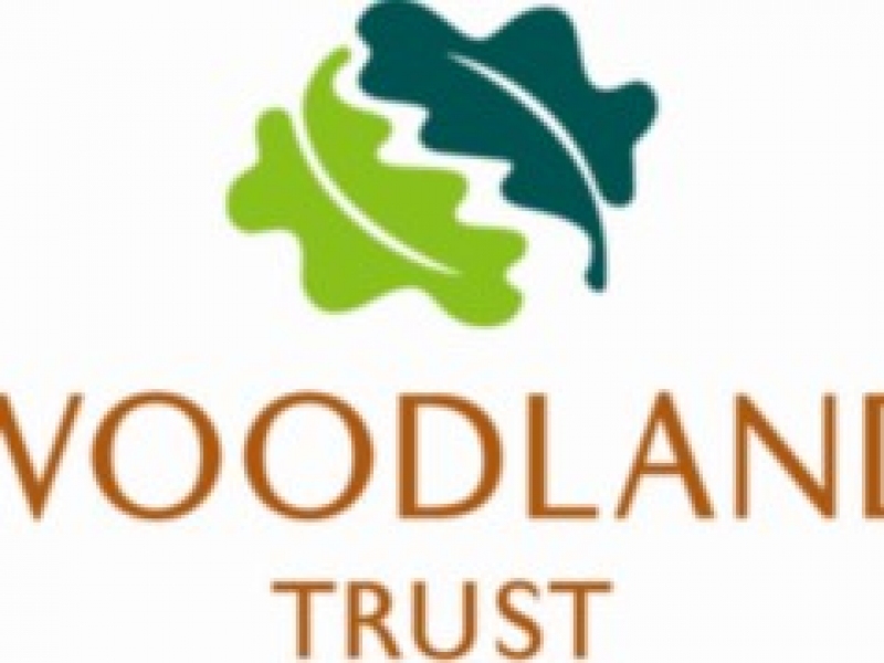 The Woodland Trust Image 1